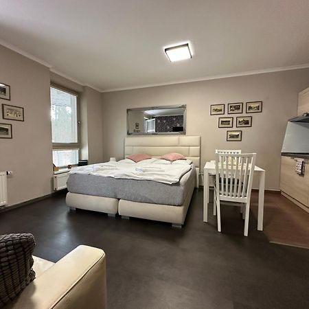 Harrachov Resident Apartments "Terrace & Chill" - High Speed Wifi, Smart Tv, Netflix, Disney Plus Exterior photo